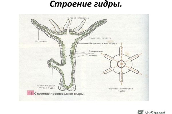 Кракен маркетплейс магазин