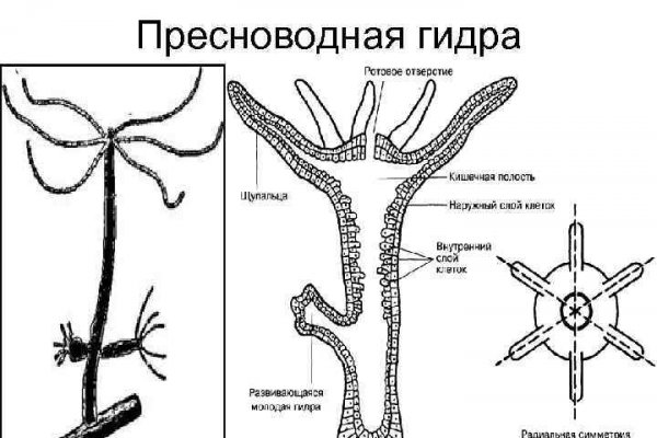 Ссылки на кракен маркетплейс